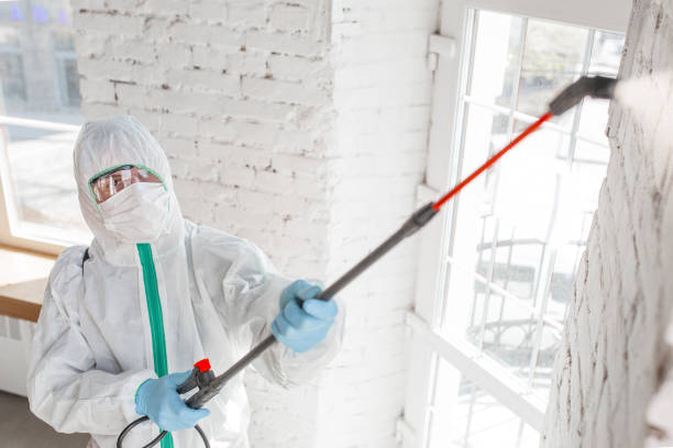 Reliable New Castle, IN Mold Remediation Solutions